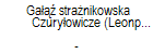 Ga stranikowska Czuryowicze (Leonpol), Kasple, Czarna Hacza, Mir