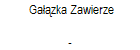 Gazka Zawierze 