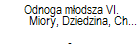 Odnoga modsza VI. Miory, Dziedzina, Chrobrwka