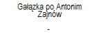 Gazka po Antonim Zajnw