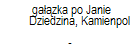 gazka po Janie Dziedzina, Kamienpol