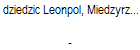 dziedzic Leonpol, Miedzyrzecz 